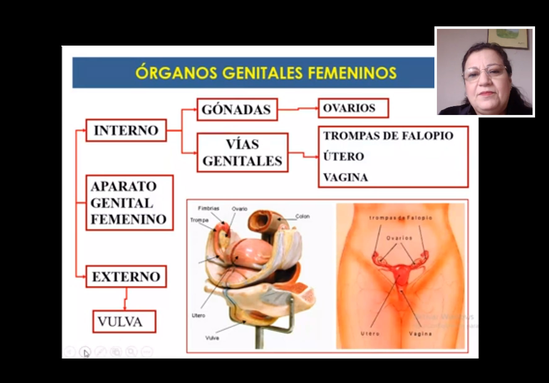 ESTUDIANTES DE  OBSTETRICIA DE NORBERT WIENER PARTICIPARON EN CLASE ESPEJO CON LA UNIVERSIDAD CENTRAL DE CHILE