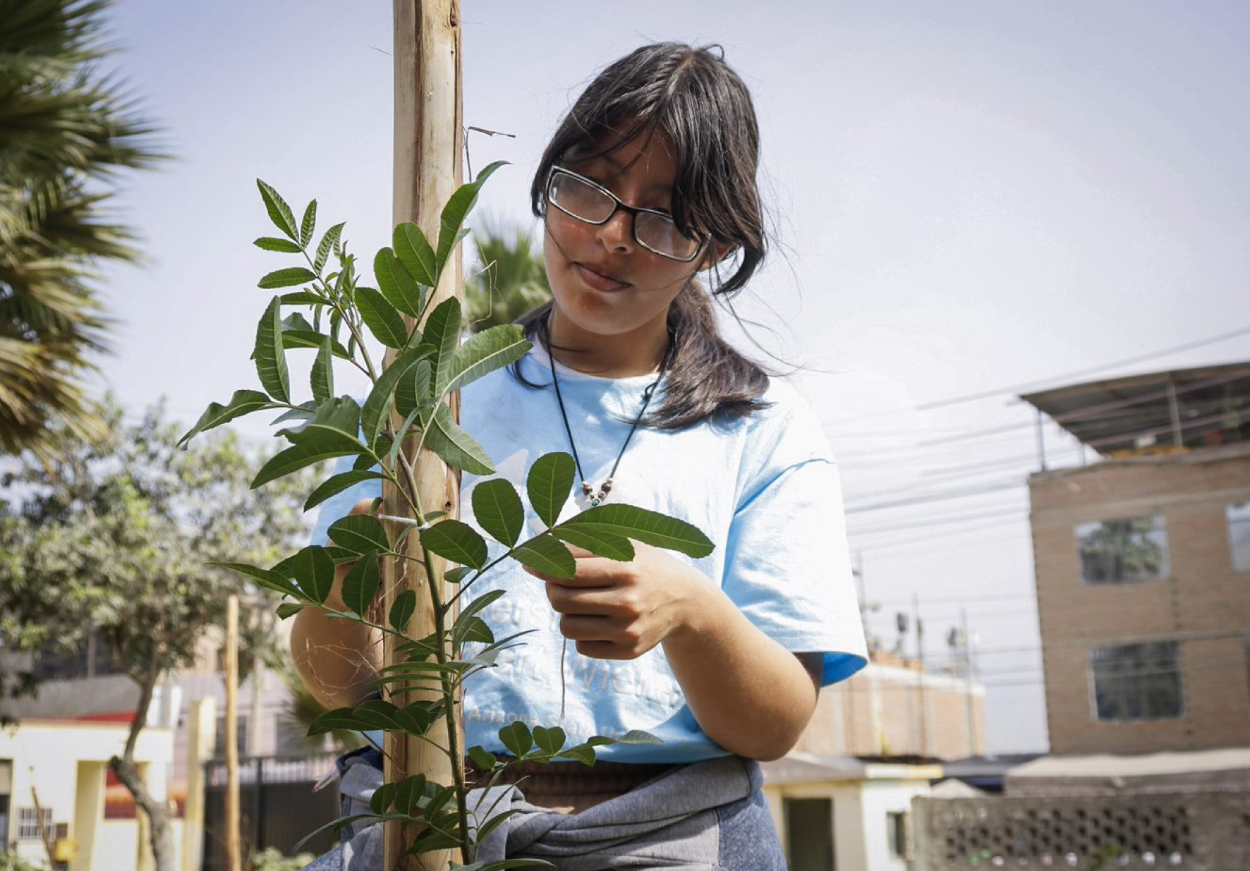 RESPONSABILIDAD SOCIAL: ESTUDIANTES DE LA UNIVERSIDAD NORBERT WIENER PARTICIPARON EN CAMPAÑA DE ARBORIZACIÓN “LIMA VERDE” DE LA MUNICIPALIDAD DE LIMA