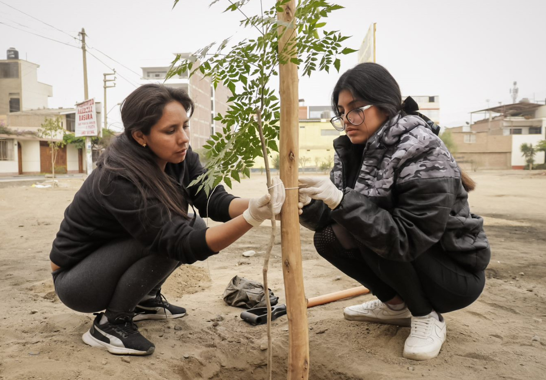 RESPONSABILIDAD SOCIAL: ESTUDIANTES DE LA UNIVERSIDAD NORBERT WIENER PARTICIPARON EN CAMPAÑA DE ARBORIZACIÓN “LIMA VERDE” DE LA MUNICIPALIDAD DE LIMA