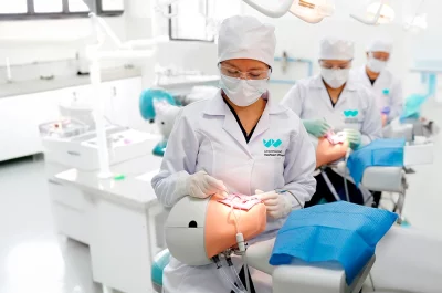Estudiar Odontología en la Wiener: De la Salud Bucal Esencial a una Carrera que Transforma Vidas